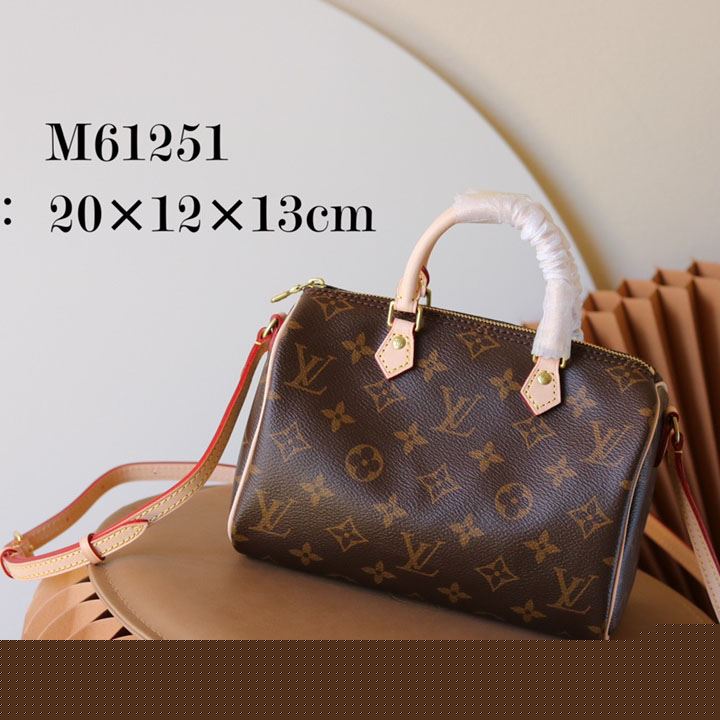 LV Speedy Bags